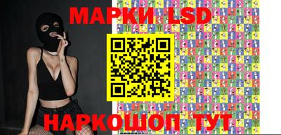 a pvp Новодвинск